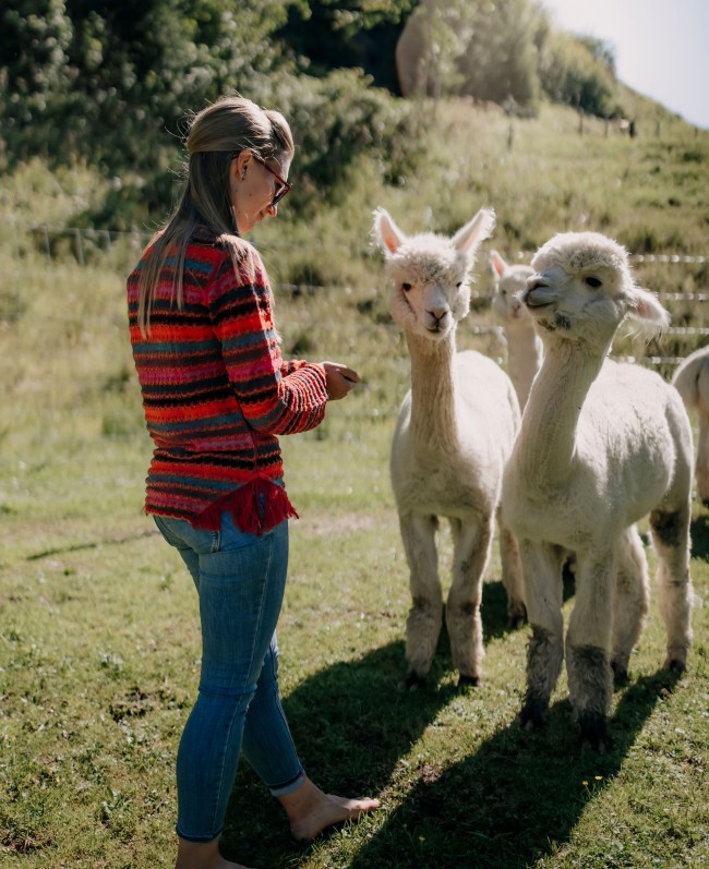 Maria f&uuml;ttert die Alpaka