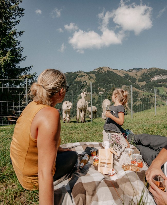 Picknick in den Bergen im Gro&szlig;arltal mit Alpaka